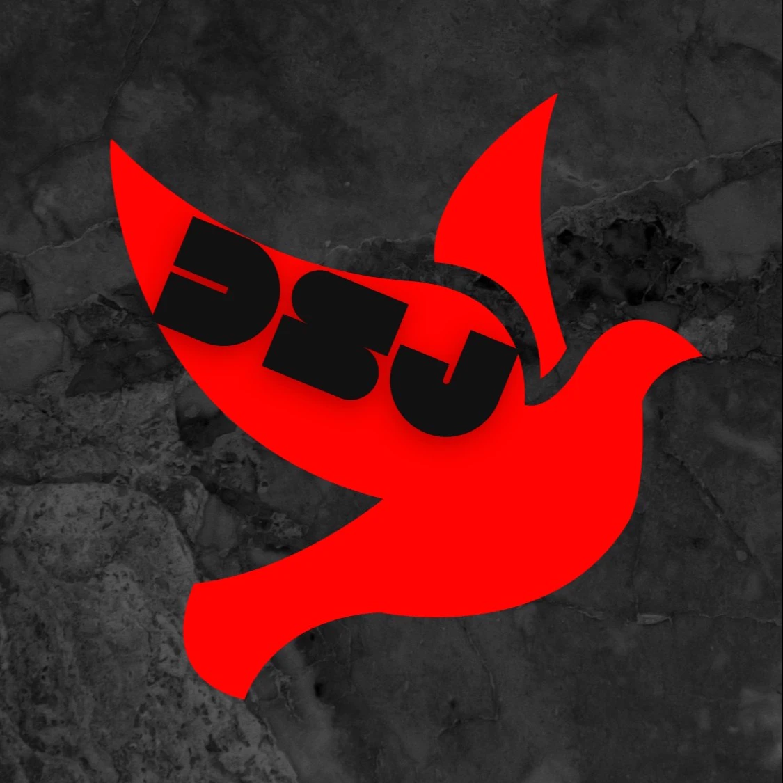Símbolo oficial DSJ